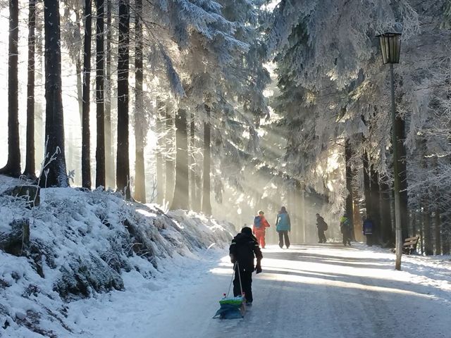 Winterliche Impressionen am Josephskreuz auf dem Auerberg – „Forsthaus Auerberg“ im Harz in Stolberg